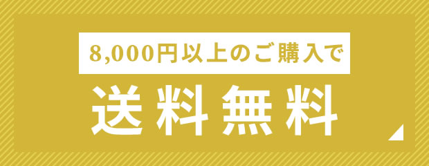 6,500円以上のご購入で 送料無料