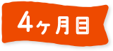 4ヶ月目