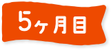 5ヶ月目