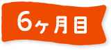 6ヶ月目