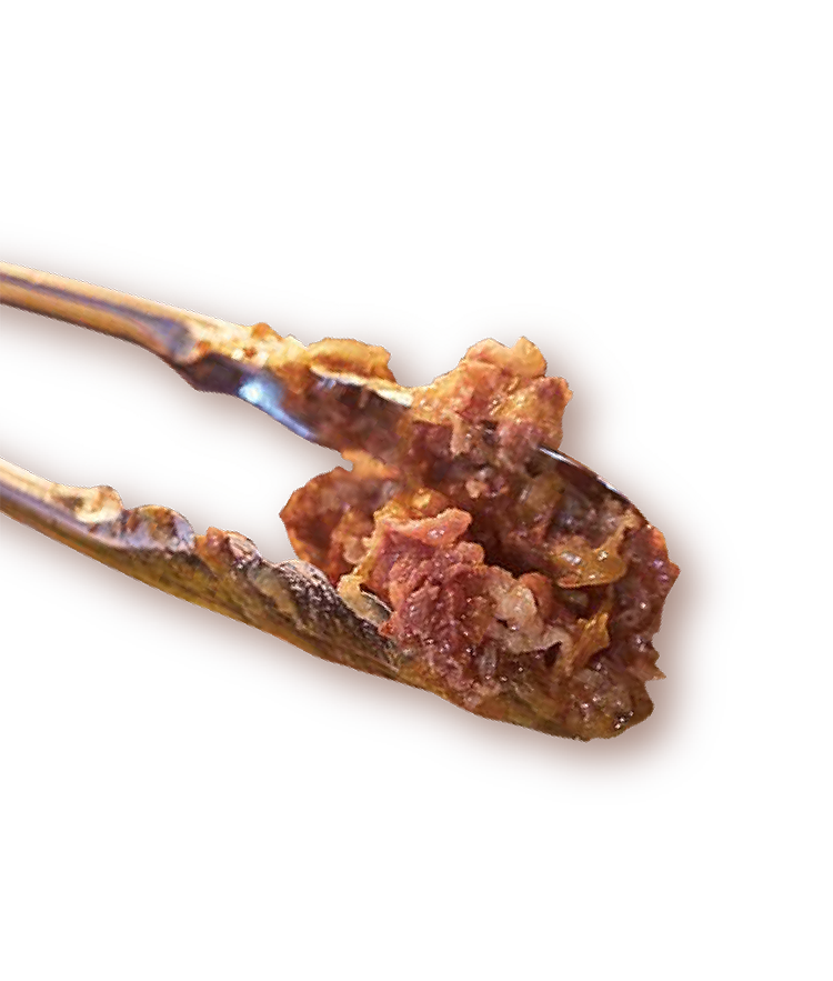 資さんうどんの肉うどんimage