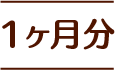 1ヶ月分
